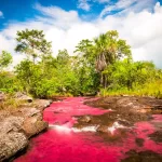 The Beauty of the Natural World
